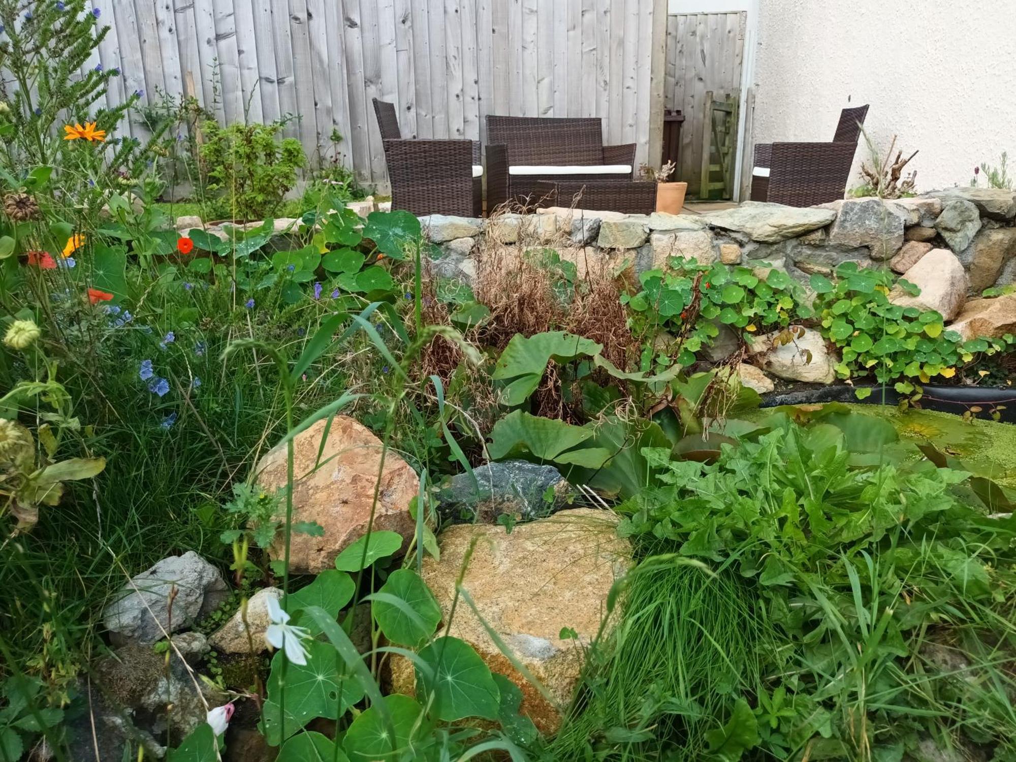 Sunrise! ~ 2 Bedrooms, Garden, Parking, Sea Views St Ives Exterior foto